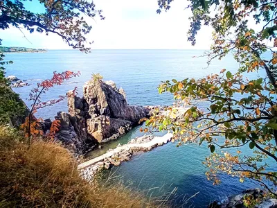 Pociąg do historii medycyny: Kopenhaga i Bornholm