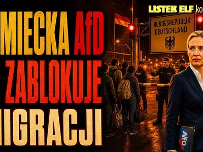 Embedded thumbnail for Remigracja wg AFD jest niemożliwa