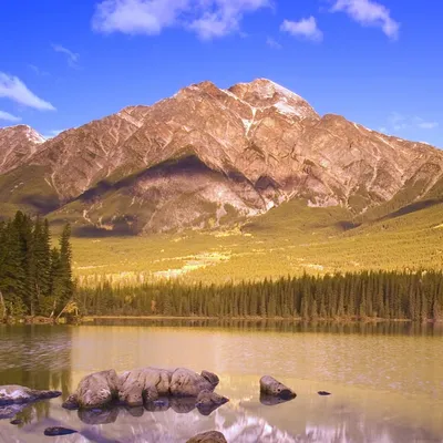 Profile picture for user MateoPolo06