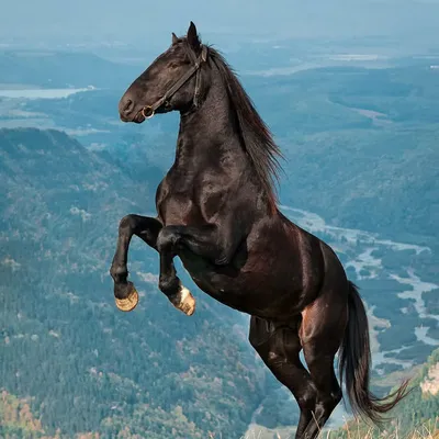 Profile picture for user Iwona Piech