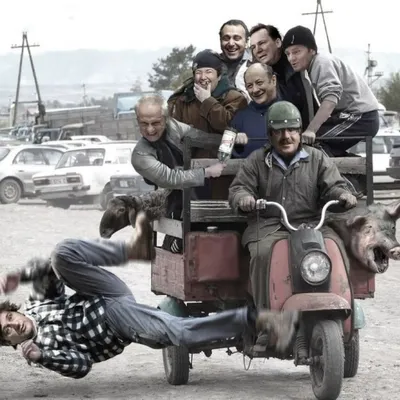 Profile picture for user talmes