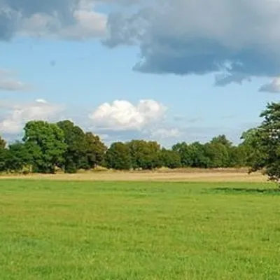 Profile picture for user Wojciech2