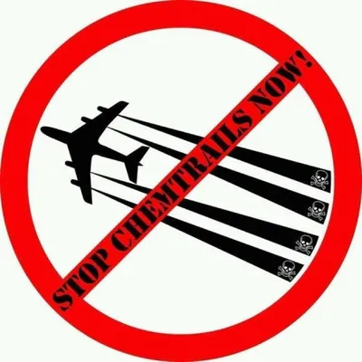 Profile picture for user amcartworks