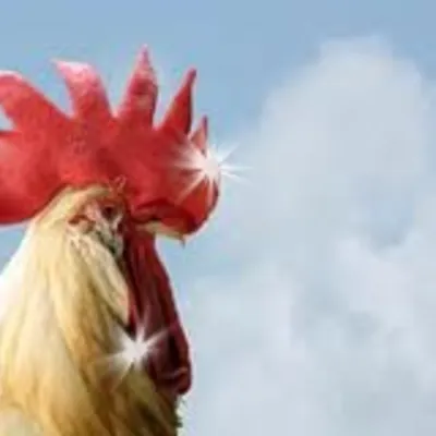 Profile picture for user trybeus