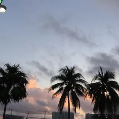 Profile picture for user sloncepalmy