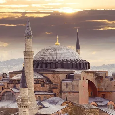 Profile picture for user Zofia