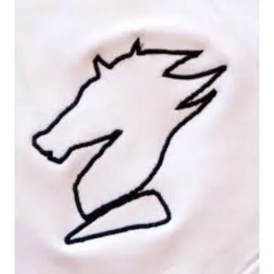 Profile picture for user jpolt