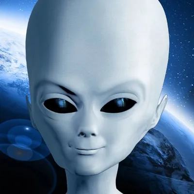 Profile picture for user crsa