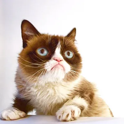 Profile picture for user barbi64