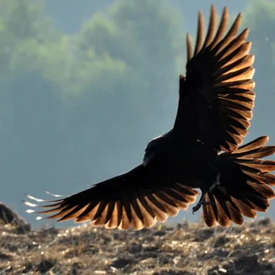 Profile picture for user yurodiwyj