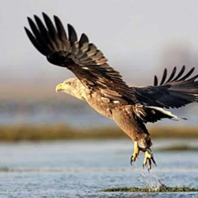 Profile picture for user STACH