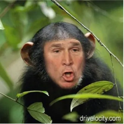 Profile picture for user Zapiniotodement