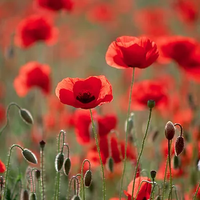 Profile picture for user gośćXXI