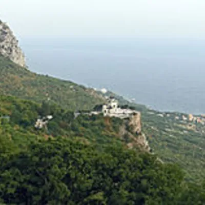 Profile picture for user foros