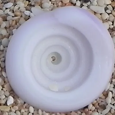 Profile picture for user Oona