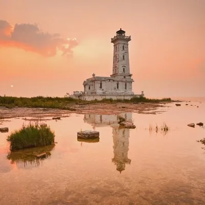 Profile picture for user Rodak z Kanady