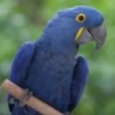 Profile picture for user Tadeusz Zakrzewski