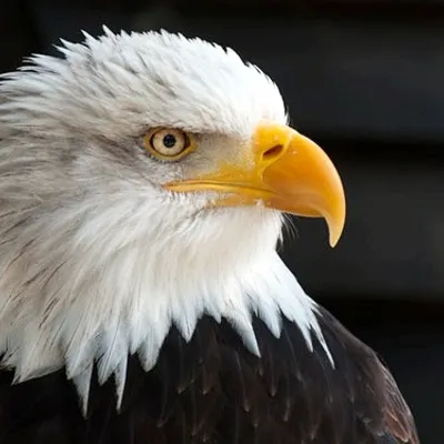 Profile picture for user Blogpress