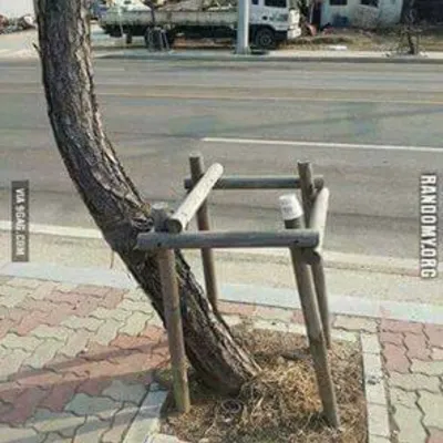 Profile picture for user Alicja P.