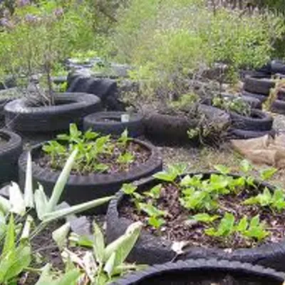 Profile picture for user arietta