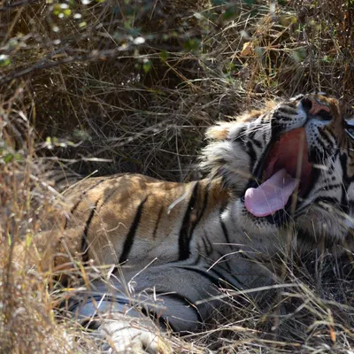 Profile picture for user Martakk