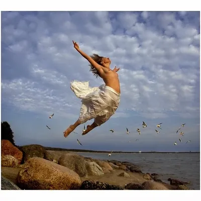 Profile picture for user Spirito Libero SL