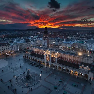 Profile picture for user Zuzanna Kasprzycka