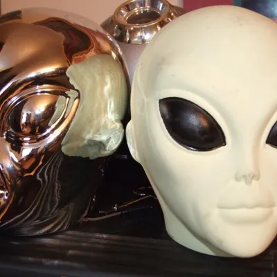 Profile picture for user MAJOR FLASH