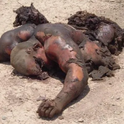 Profile picture for user Zbroja