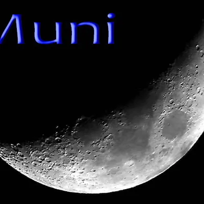 Profile picture for user Muni