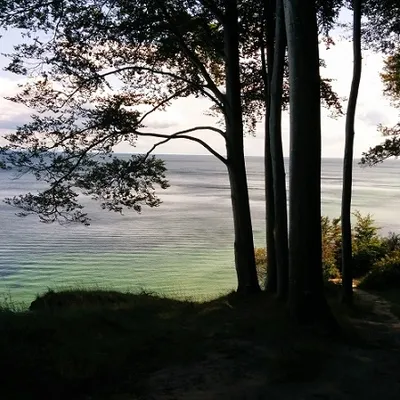 Profile picture for user Leonarda