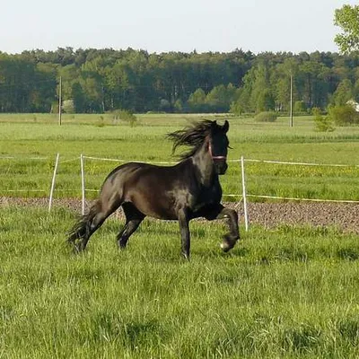 Profile picture for user MPJ 78