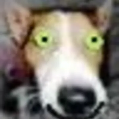 Profile picture for user terieron