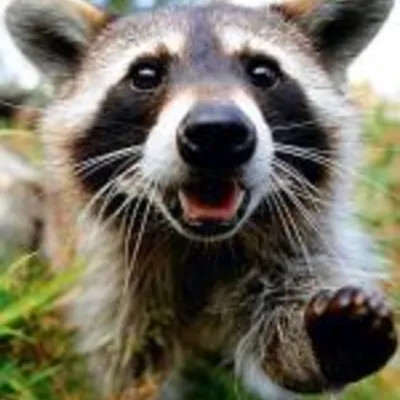 Profile picture for user Gagatka