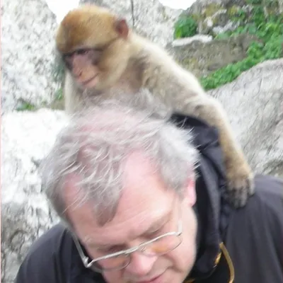 Profile picture for user krab