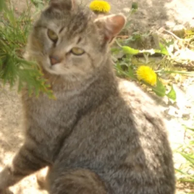 Profile picture for user Bardzo Niepokorna