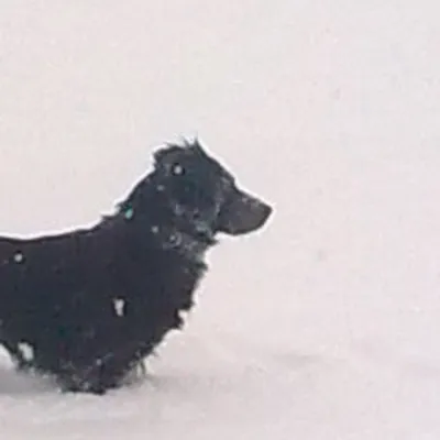 Profile picture for user Jacek Jarecki