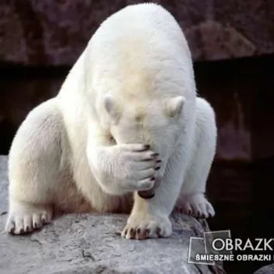 Profile picture for user zuziaa