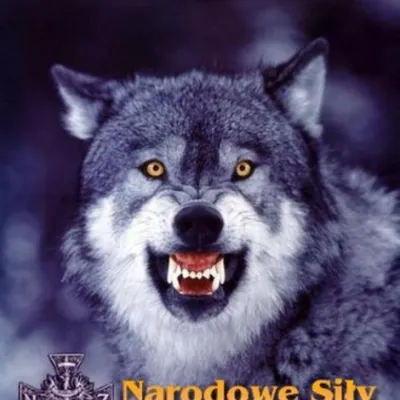 Profile picture for user DarKoSz