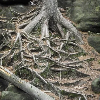 Profile picture for user monty.z