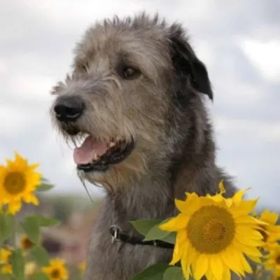 Profile picture for user zdzisie