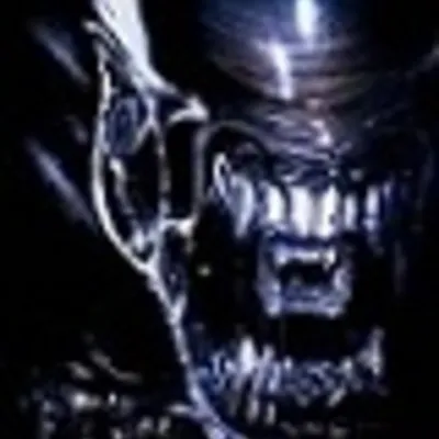 Profile picture for user narcis