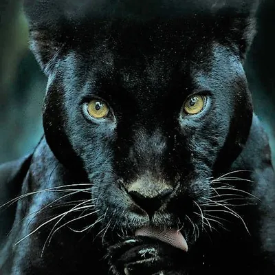 Profile picture for user Ingrid