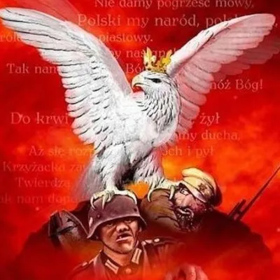 Profile picture for user marco.kon