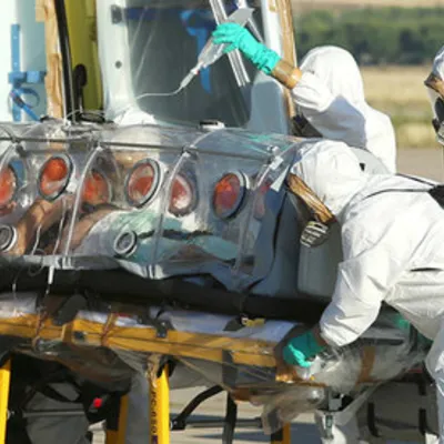 Profile picture for user eradycatr