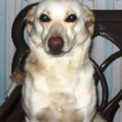 Profile picture for user tharina