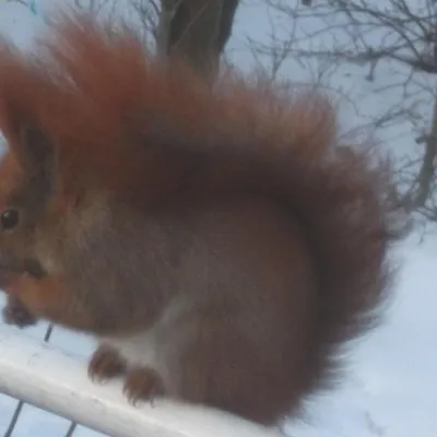 Profile picture for user włóczykij