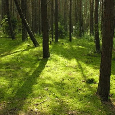 Profile picture for user Mmar