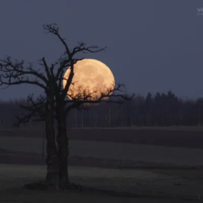 Profile picture for user grazyna