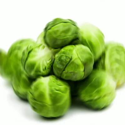 Profile picture for user Darek65